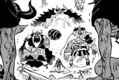 Zoro Is So Cool! Reading Link Manga One Piece Chapter 1178 English Translation & Release Date